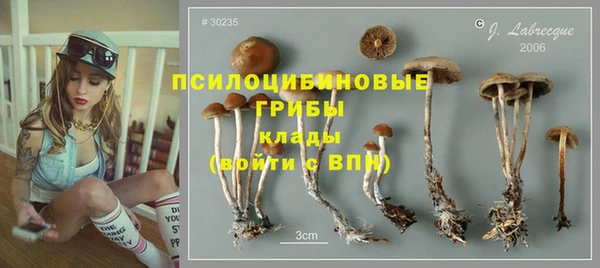 меф Грязовец
