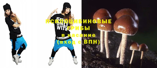 винт Алзамай