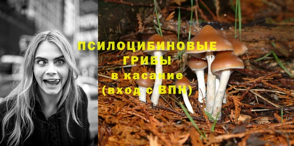 тгк Алексин