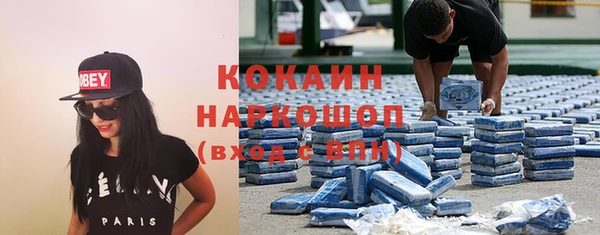 ГАЛЛЮЦИНОГЕННЫЕ ГРИБЫ Губаха