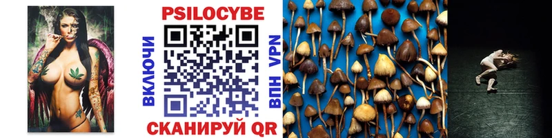 Псилоцибиновые грибы Cubensis  цены   Кемь 