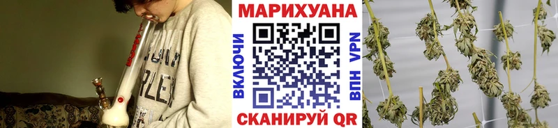 где продают   Кемь  Шишки марихуана Amnesia 